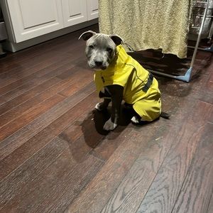 TRIXIE Vimy Dog Raincoat Size S